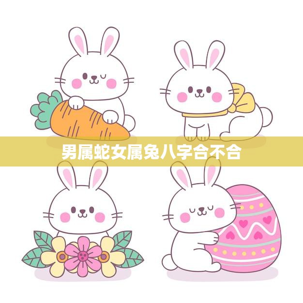 男属蛇女属兔八字合不合(八字配对分析)