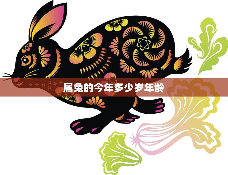 属兔的今年多少岁年龄(如何计算)