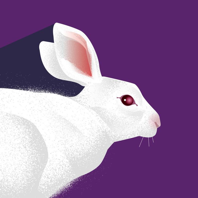 1939年属兔人三大坎(如何化解)