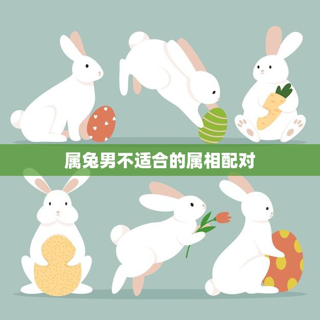 属兔男不适合的属相配对(哪些属相与兔男不合适)