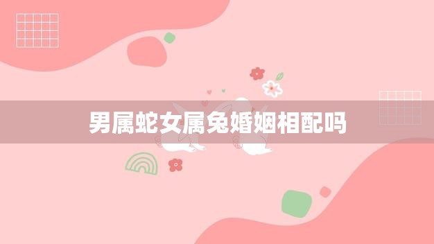 男属蛇女属兔婚姻相配吗(解析兔蛇姻缘如何)