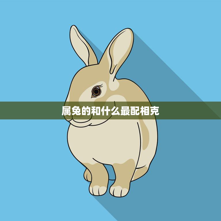 属兔的和什么最配相克(如何避免相克的影响)