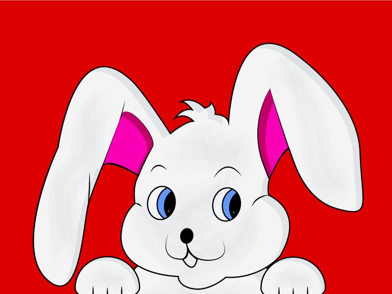 属兔和什么属相最合得来(最佳配对属相大揭秘)