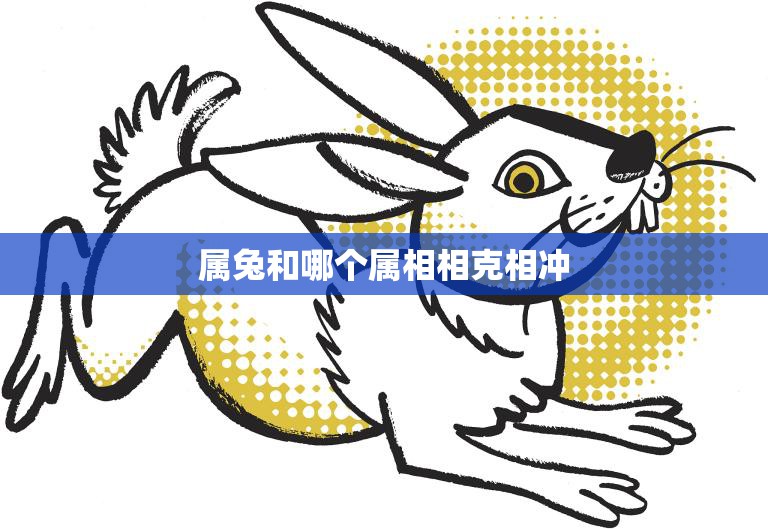 属兔和哪个属相相克相冲(十二生肖相克相冲大揭秘)