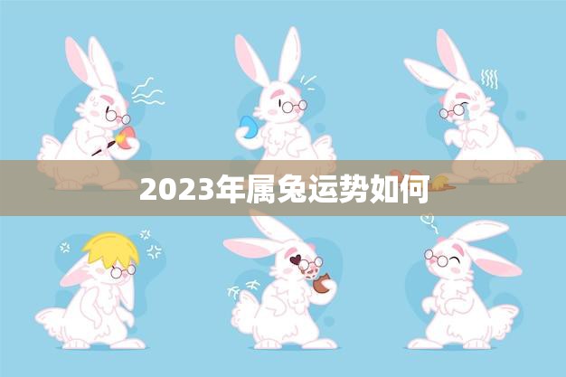 2023年属兔运势如何(兔子们的未来会如何)