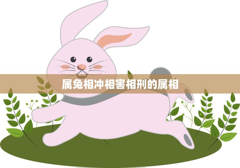 属兔相冲相害相刑的属相(命运多舛如何化解)