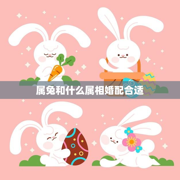 属兔和什么属相婚配合适(如何选择最佳婚配)