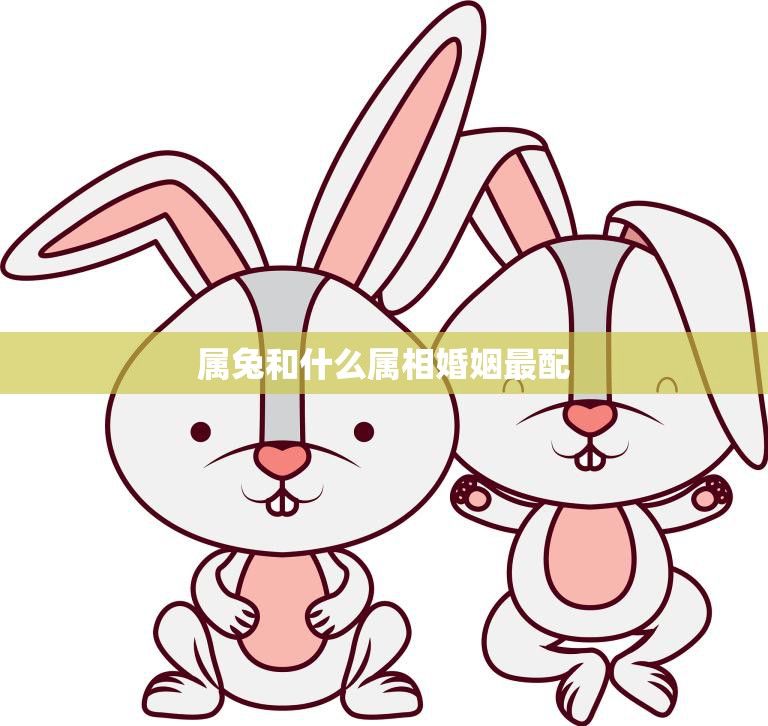 属兔和什么属相婚姻最配(最佳婚姻组合大揭秘)