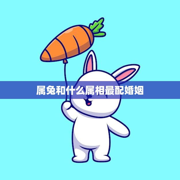 属兔和什么属相最配婚姻(最佳组合大揭秘)