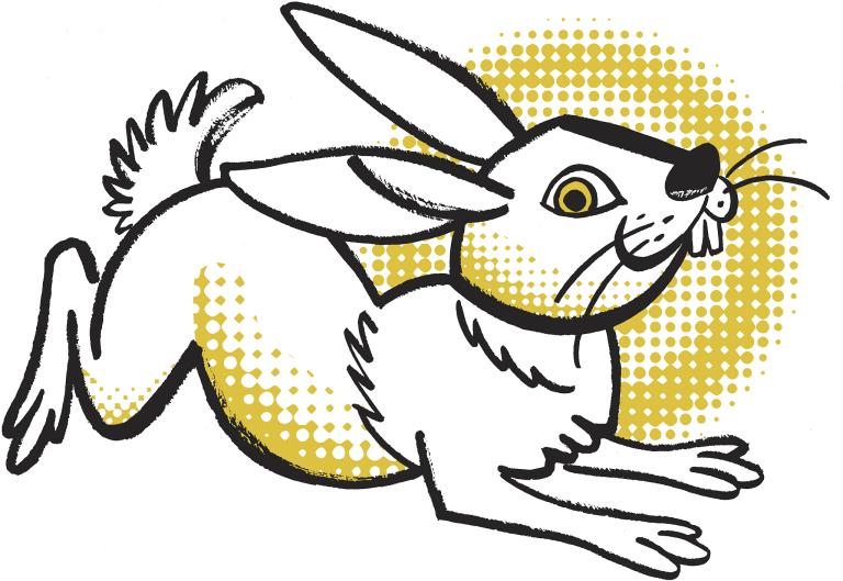 87年属兔女配什么生肖(最佳配对指南)