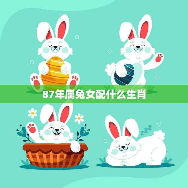 87年属兔女配什么生肖(最佳配对指南)