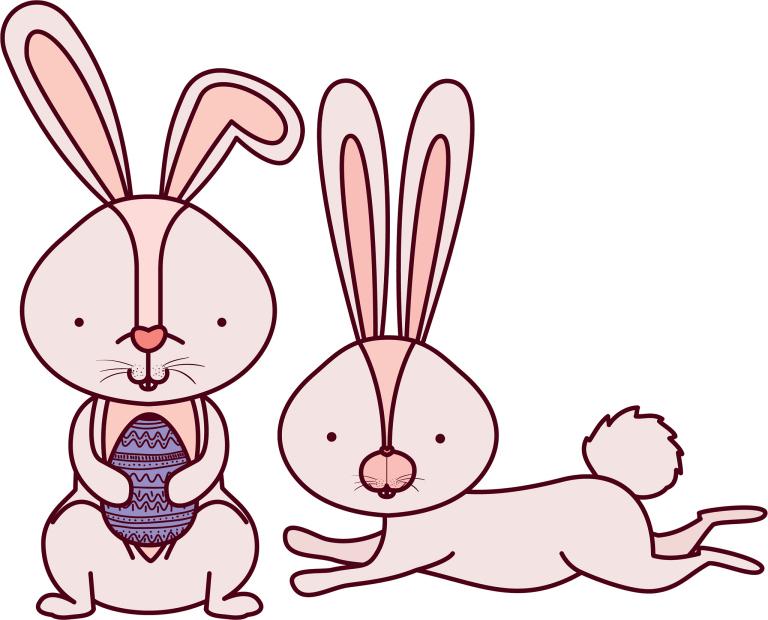 87属兔的女人最佳婚配(如何选择最适合你的伴侣)