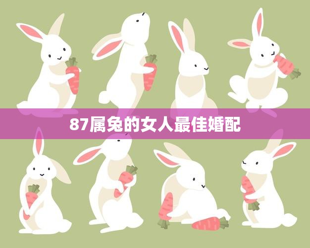 87属兔的女人最佳婚配(如何选择最适合你的伴侣)