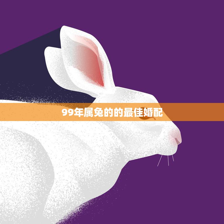 99年属兔的的最佳婚配(如何选择最适合你的伴侣)