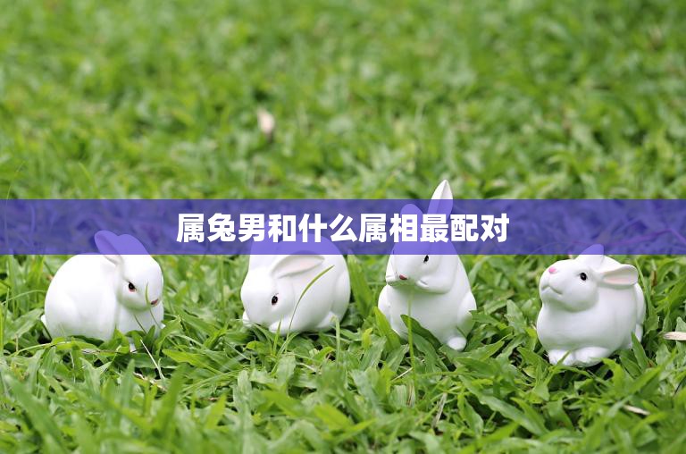 属兔男和什么属相最配对(十二生肖配对大揭秘)