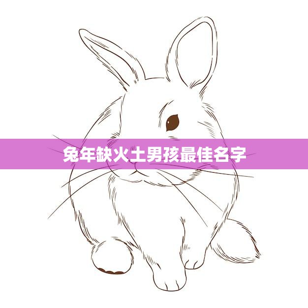 兔年缺火土男孩最佳名字(如何选择)