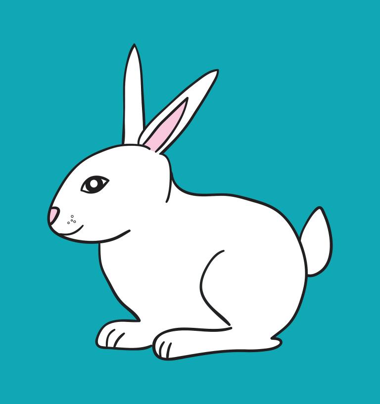 2023年属兔一生命运(未来三年的发展趋势)