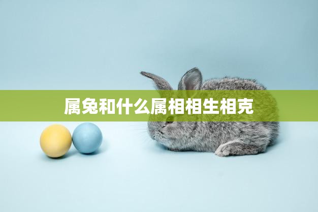 属兔和什么属相相生相克(详解相生相克表及解析)