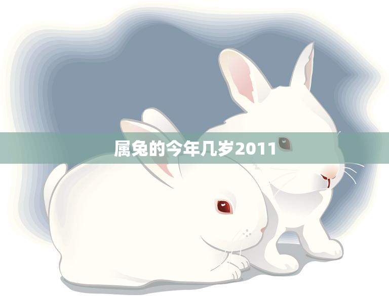 属兔的今年几岁2011(兔年生肖运势大揭秘)