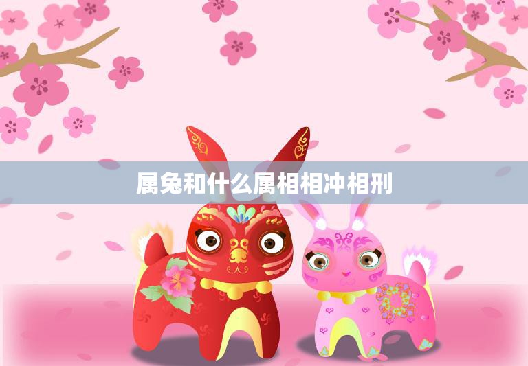 属兔和什么属相相冲相刑(你的兔年运势受到哪些星座的影响)