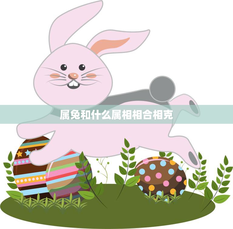 属兔和什么属相相合相克(了解属兔人的命运与缘分)