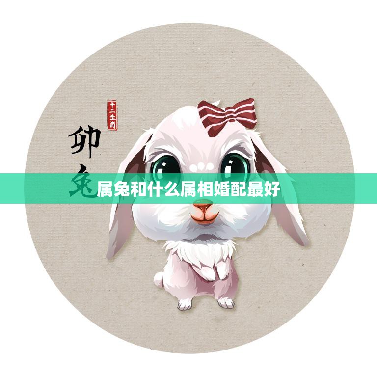 属兔和什么属相婚配最好(如何选择最佳婚姻伴侣)