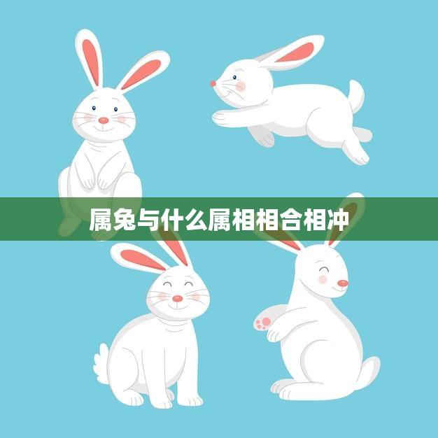 属兔与什么属相相合相冲(属相配对大揭秘)