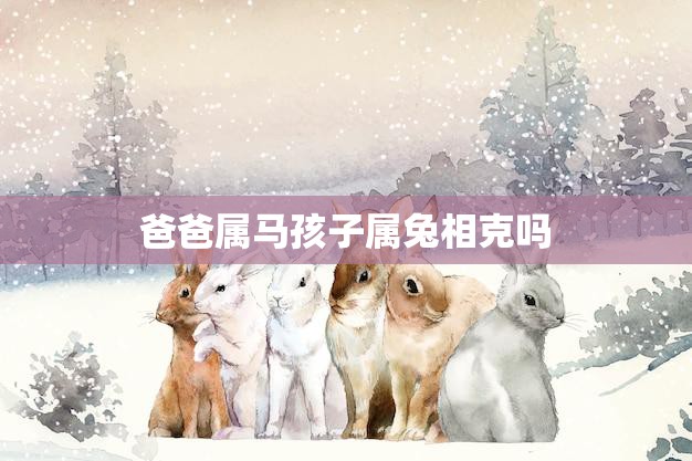爸爸属马孩子属兔相克吗(解析属相相克的传统观念)