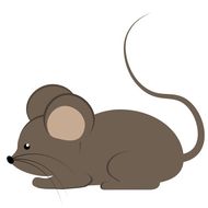 1998年属虎配鼠好吗(解析属相配对的秘密)