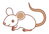 属鼠的克星是哪几个生肖(揭秘鼠年运势大忌)