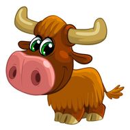 生肖牛虎和什么生肖最配(十二生肖配对大揭秘)