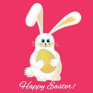 87年的女兔配什么生肖(寻找最佳配对)