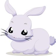 75兔跟什么属相配最好(寻找最佳配对)