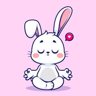 属兔跟什么属相相冲相克(解析十二生肖相冲相克)