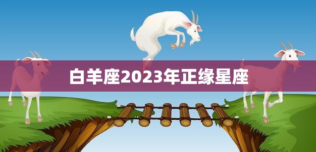 白羊座2023年正缘星座(独占头条揭秘最佳配对)