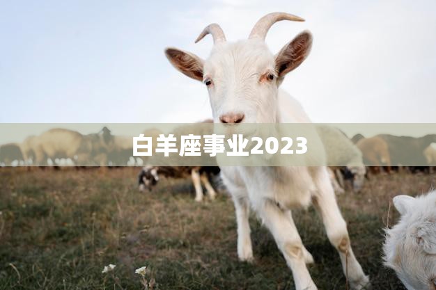 白羊座事业2023(迎来新机遇)