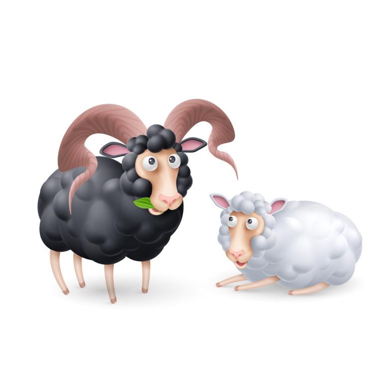 白羊座女的性格(热情奔放勇往直前)