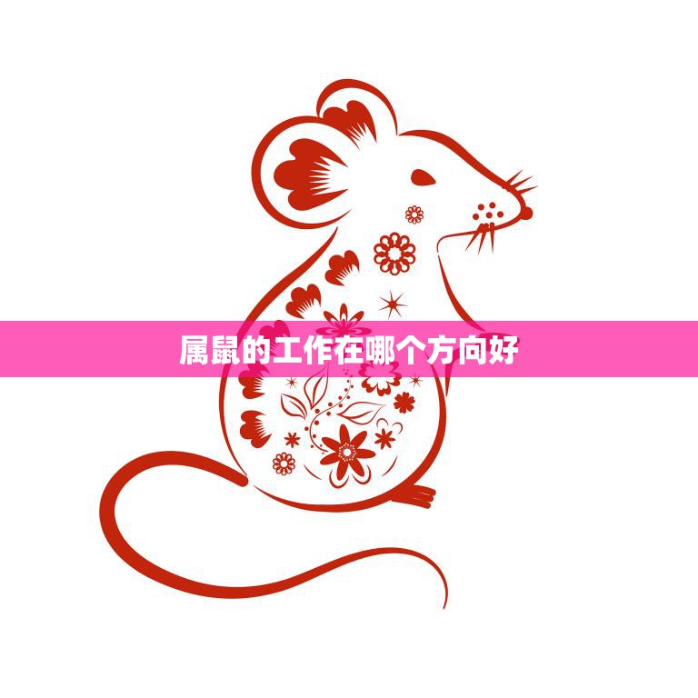属鼠的工作在哪个方向好(职场攻略)