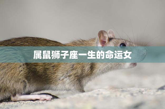 属鼠狮子座一生的命运女(命运多变的星座组合)