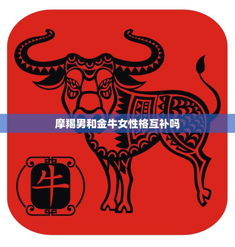 摩羯男和金牛女性格互补吗(完美匹配还是桶)