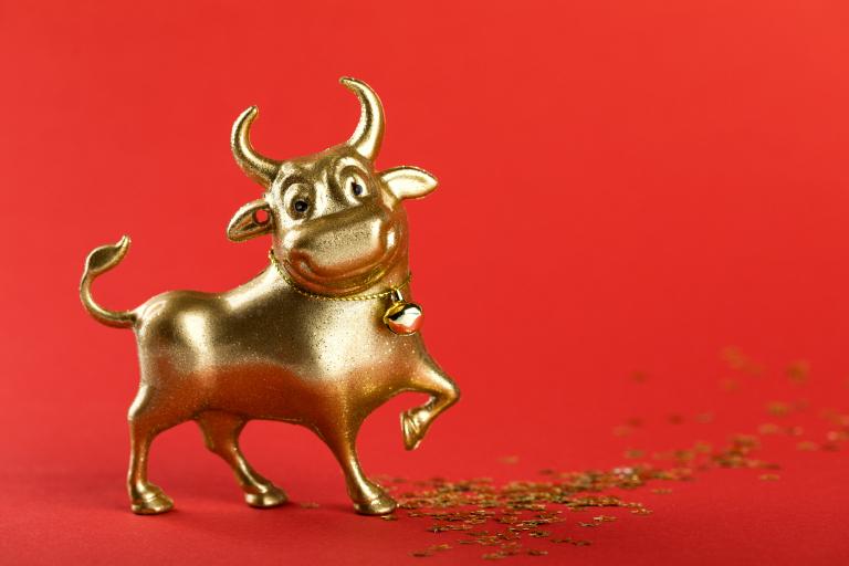 金牛女大部分嫁给了什么人(婚姻对象揭秘)