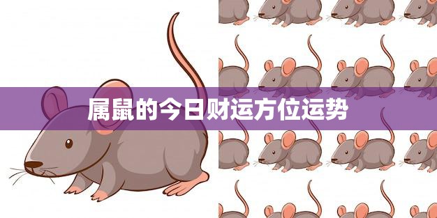 属鼠的今日财运方位运势(财运亨通财源滚滚来)