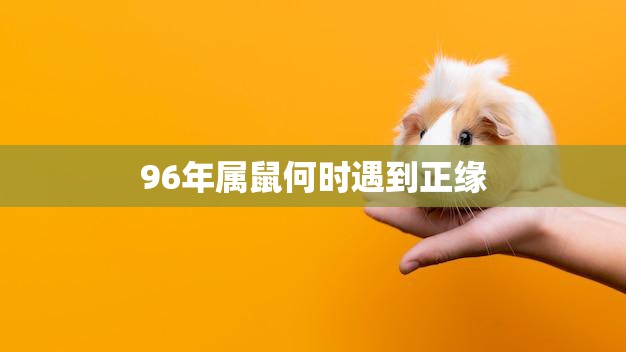 96年属鼠何时遇到正缘(寻找真爱的最佳时机)