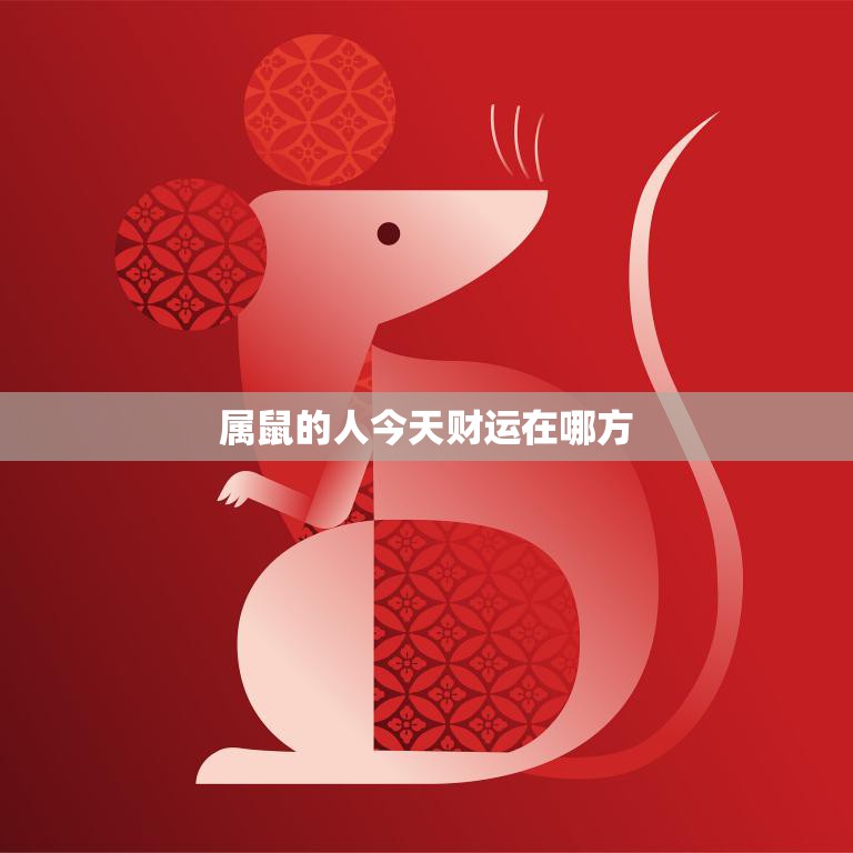 属鼠的人今天财运在哪方(探寻今日财富方向)