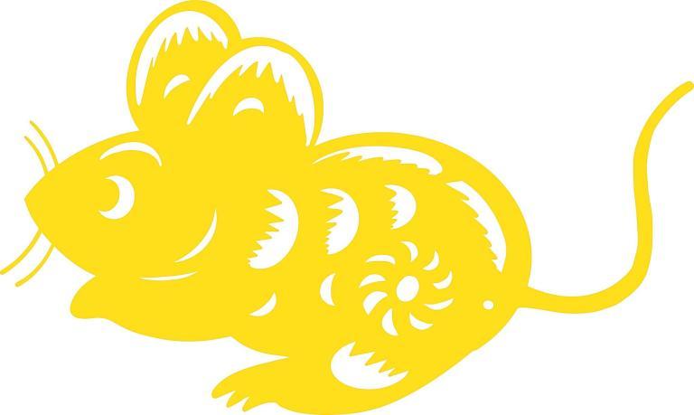 属鼠今年财运在哪个方向(揭秘2023年属鼠的财富走向)