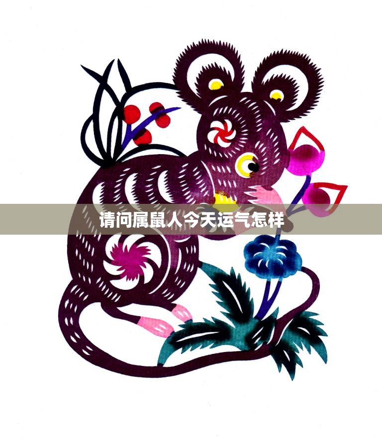 请问属鼠人今天运气怎样(解析2023年属鼠人的运势)