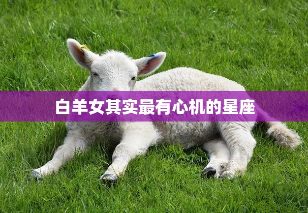 白羊女其实最有心机的星座(揭秘她们的外表下隐着什么)