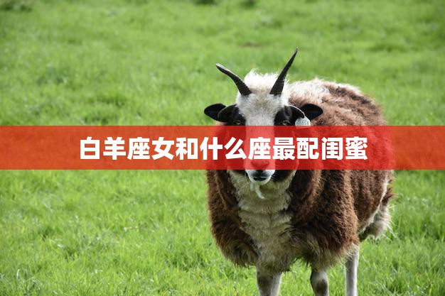 白羊座女和什么座最配闺蜜(星座大揭秘找到最佳闺蜜)