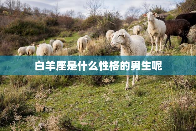 白羊座是什么性格的男生呢(探寻白羊男的性格特点)