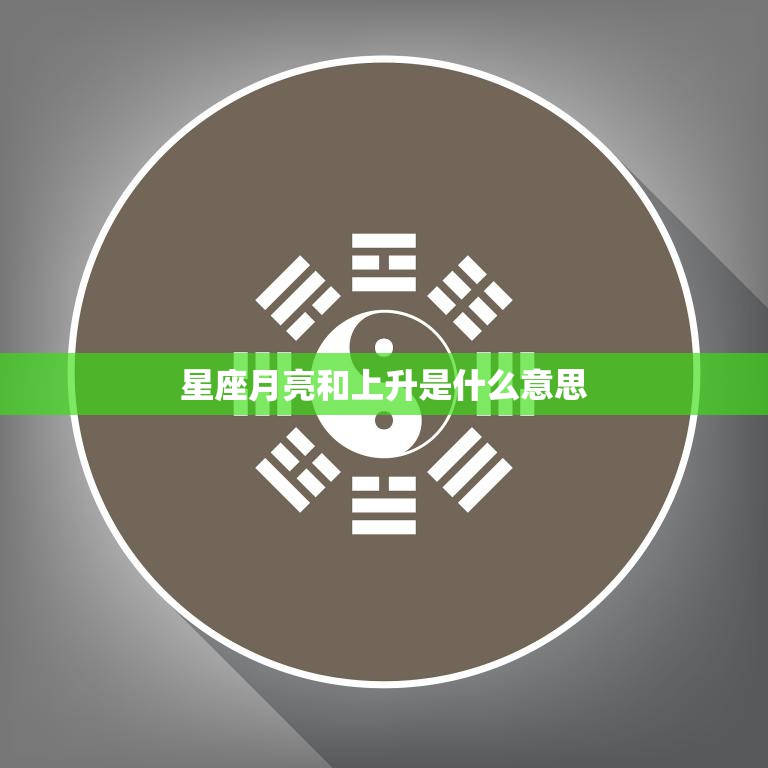 星座月亮和上升是什么意思(解读你的命盘)